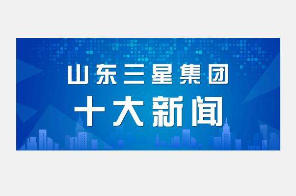 山东平博pinnacle体育平台集团2021年度十大新闻