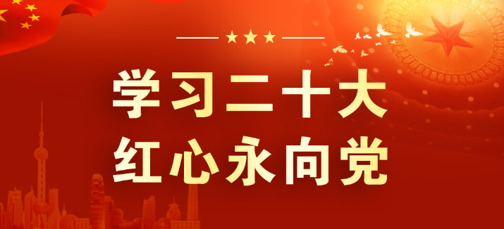 山东平博pinnacle体育平台集团：学习领会二十大 征程踏新永前行