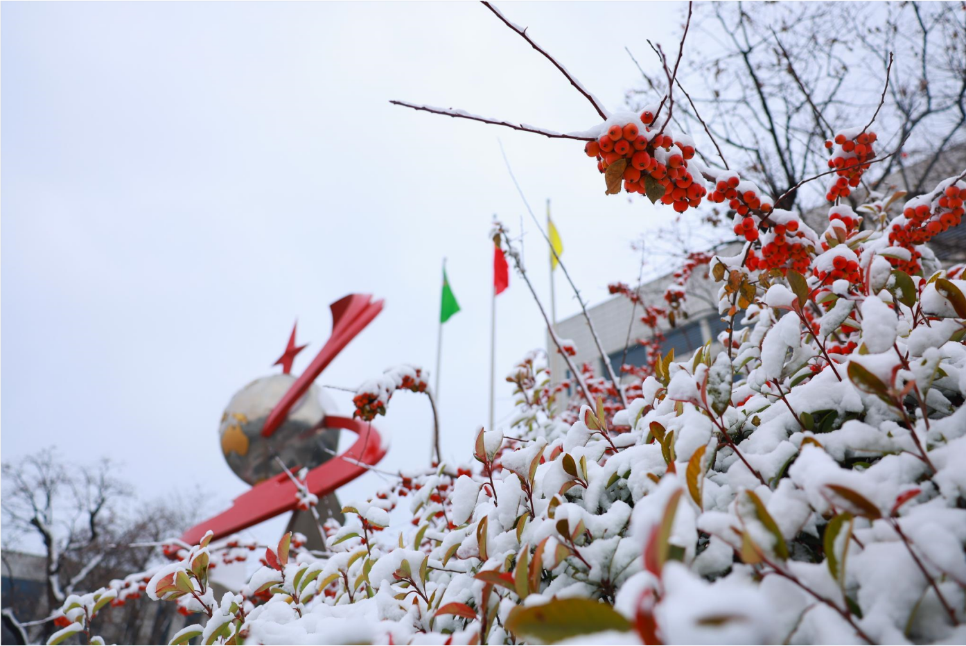 组图｜瑞雪丰年 雪遇平博pinnacle体育平台