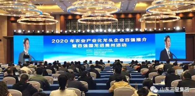 2020年农业产业化龙头企业100强等名单公布 山东平博pinnacle体育平台集团荣登三大榜单